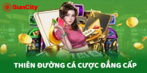 Những điều cơ bản về trang chủ Suncity